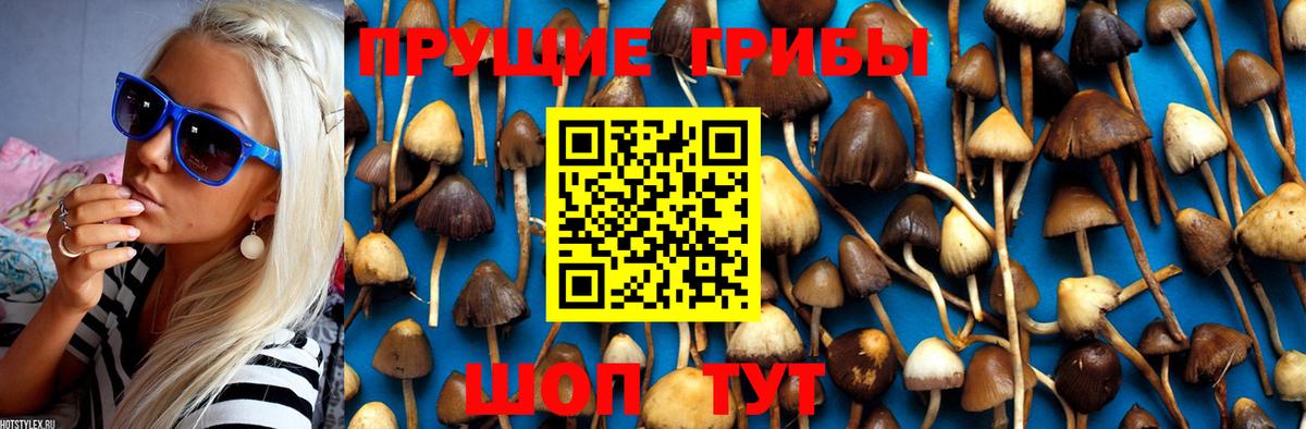 Галлюциногенные грибы MAGIC MUSHROOMS  Псилоцибиновые грибы прущие грибы  Вход с VPN  Оренбург 